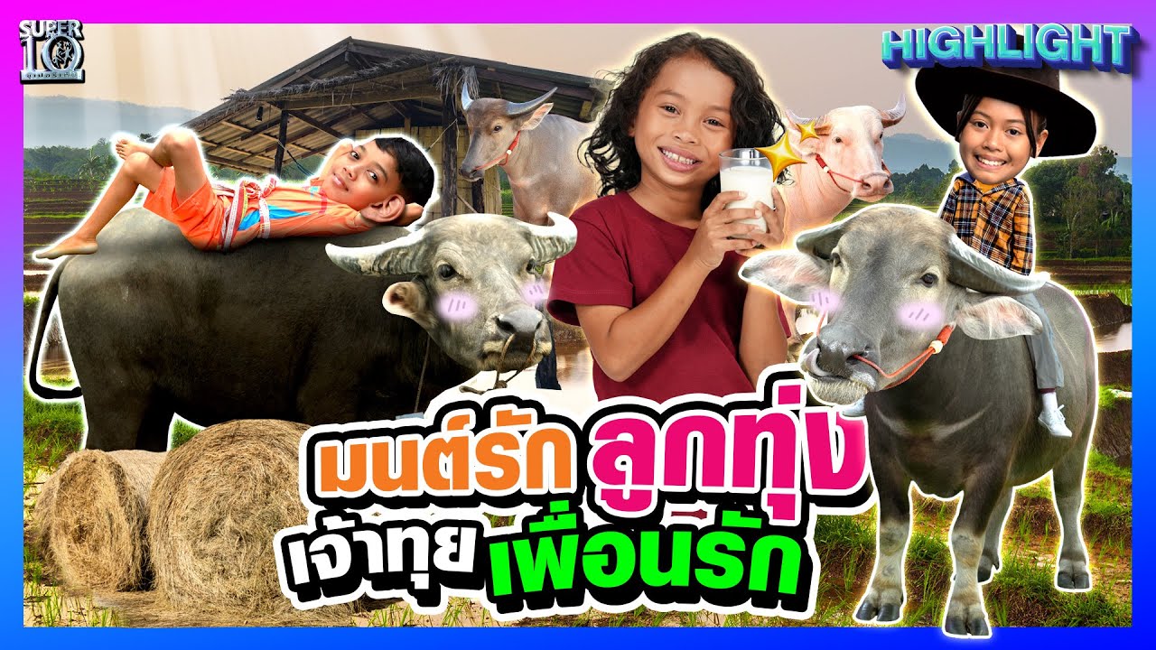 มนต์รักลูกทุ่ง เด็กรักควายตัวจริง #น้องอัญชัญ #น้องการ์ฟิวส์ #น้องรอซี  l HIGHLIGHT SUPER10