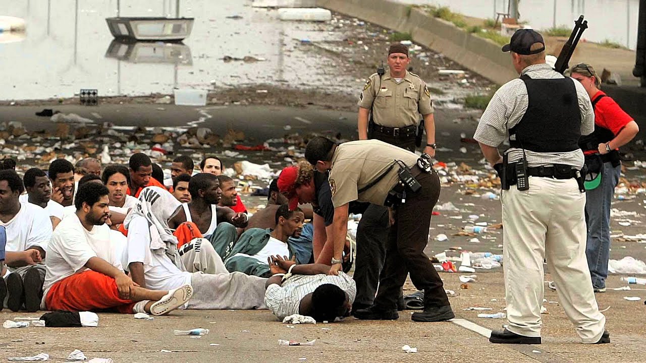Wrongly imprisoned during Katrina Mike Amor