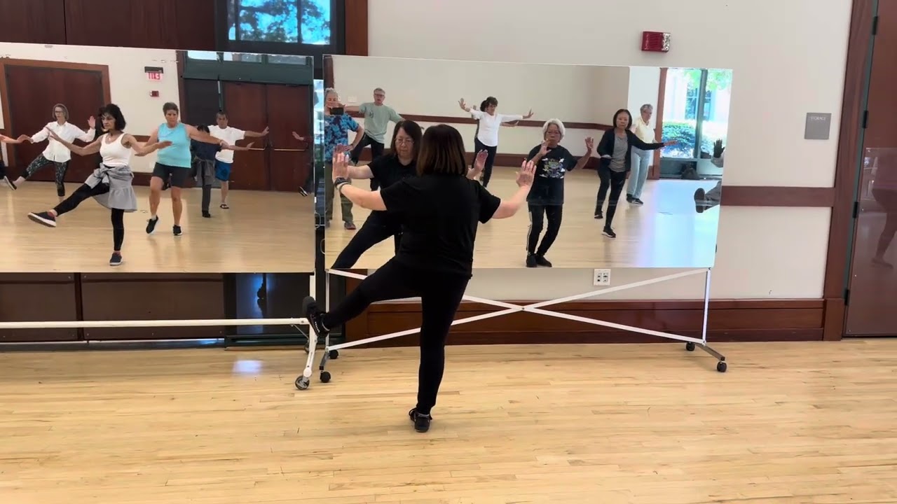 Tai Chi 42 Form with Call Out