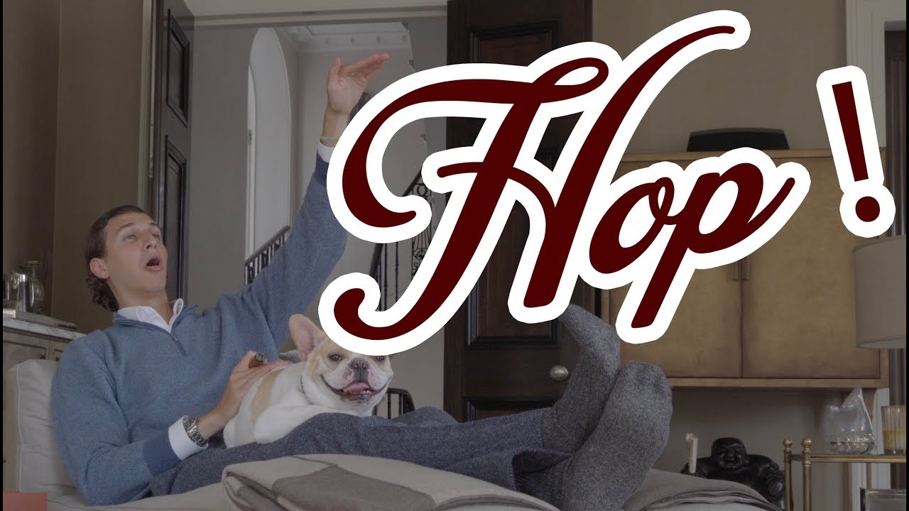 Gstaad Guy - Commercial Flight (Hop Hop Hop)