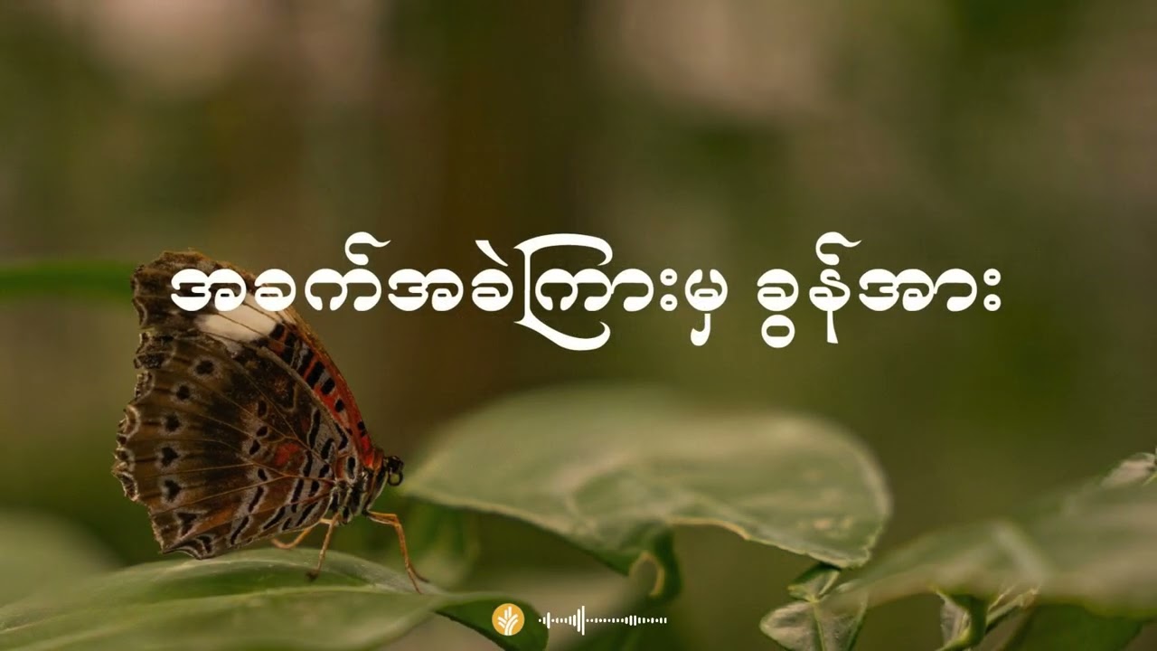 နေ့စဉ်ခွန်အား ၂၀၂၆ ခုနှစ်၊ မတ်လ  ၅  ရက်