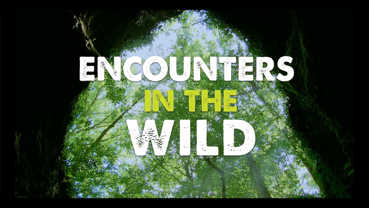 Encounters in the Wild | Georgia Outdoors