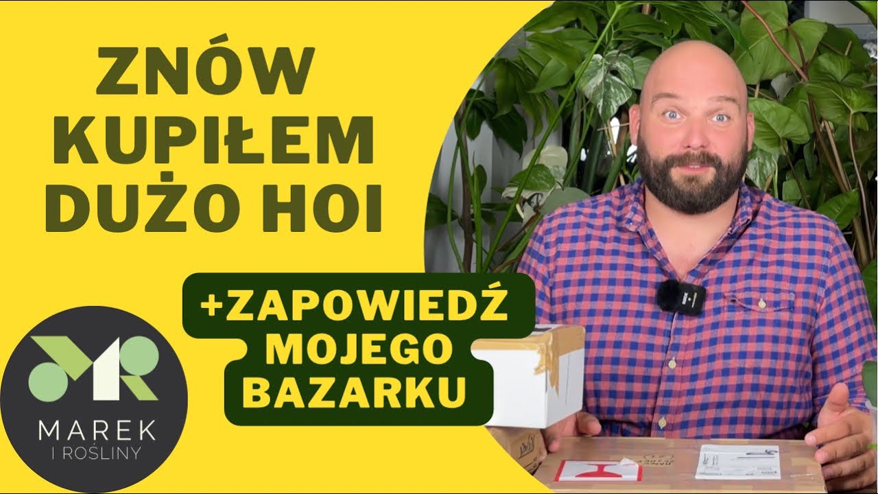 Znów kupiłem dużo hoi! No i robie bazarek ze swoimi nadwyżkami!