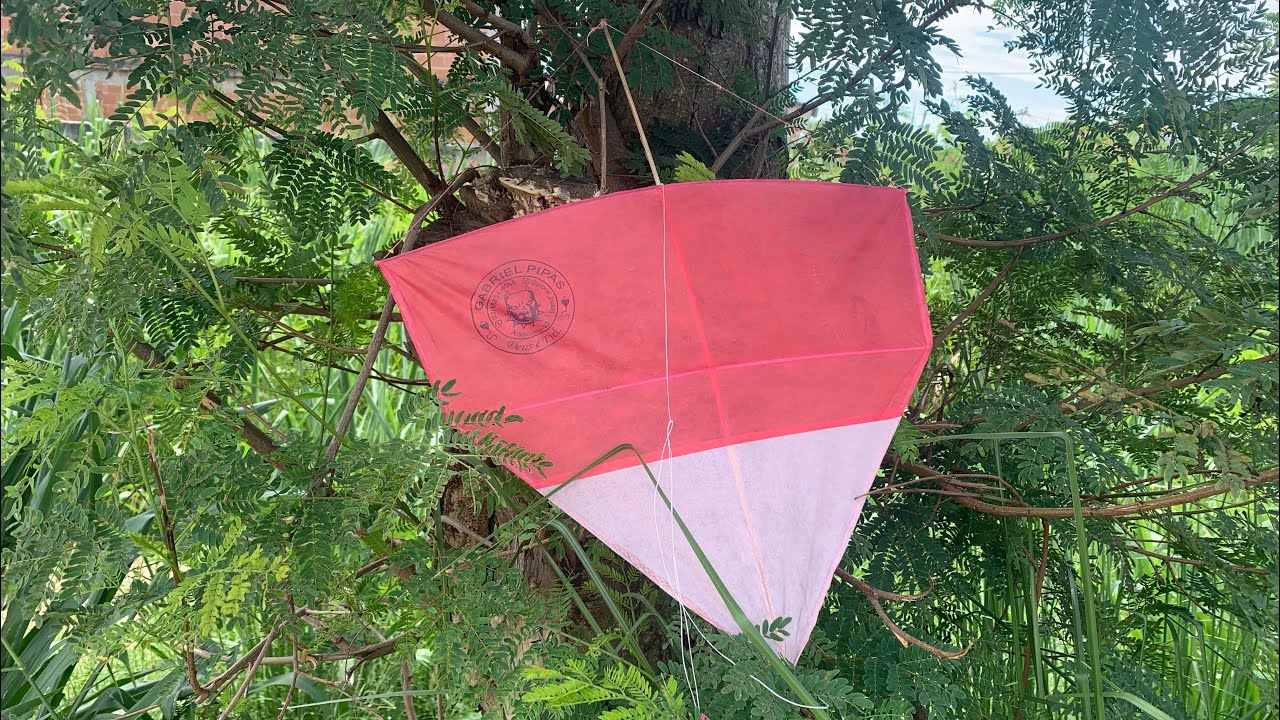 RECUPEREI UMA PIPA ENCIMA DE UMA ARVORE 😨