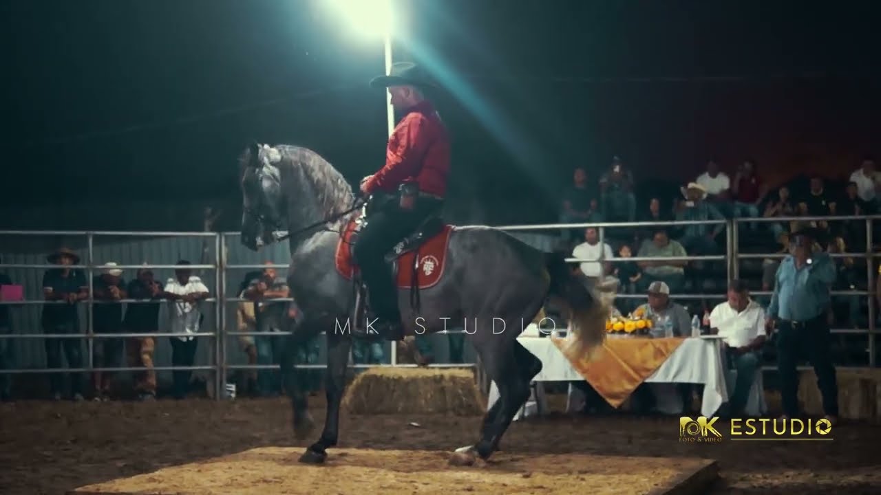 Competencia Caballos bailadores en Tarima - Sonaguera