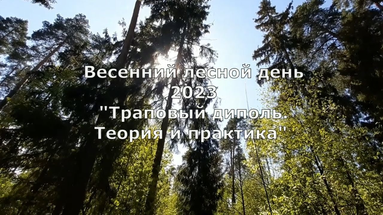Весенний лесной день 2023: 
