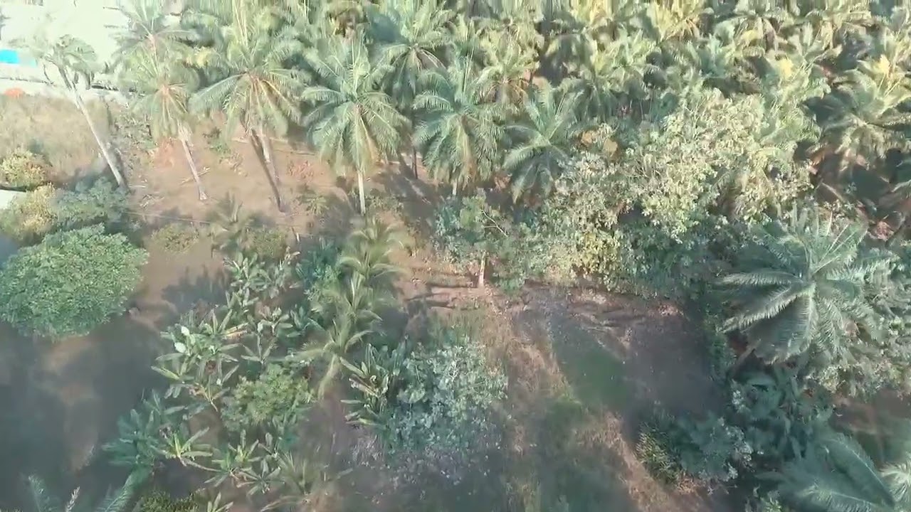 Prime 5,000 m&sup2; Lot in Playa Bandera &ndash; Parrita