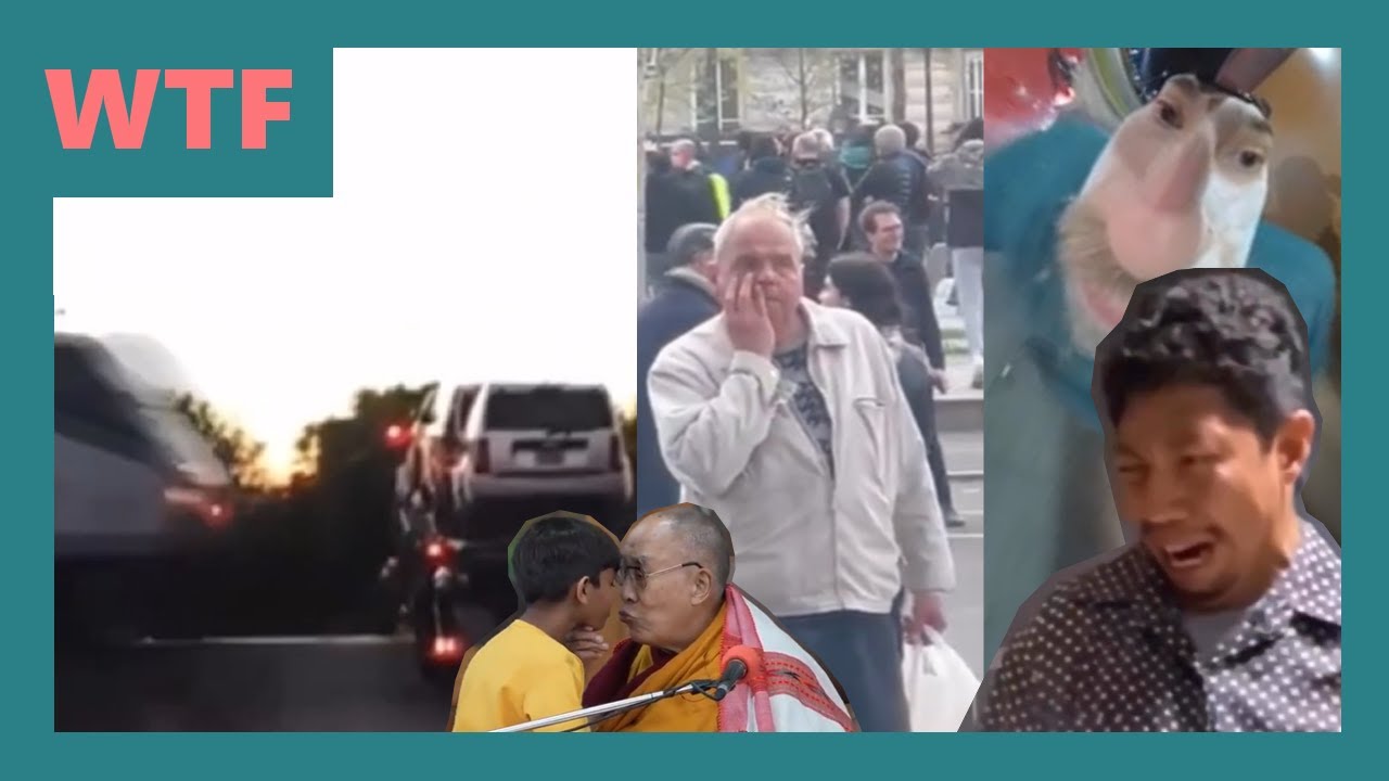 WTF Compilation - Vol. 5