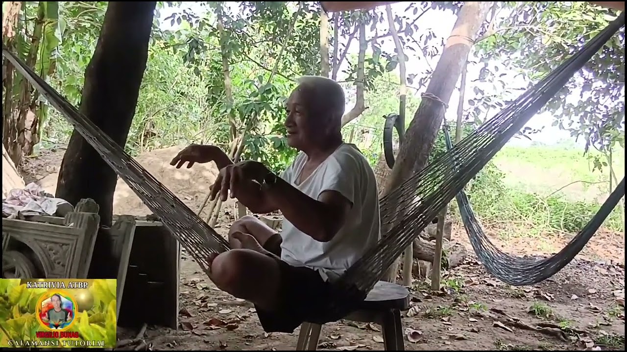 FUNGUS SA CALAMANSI DULOT NA MAHINA NA ANG LUPA