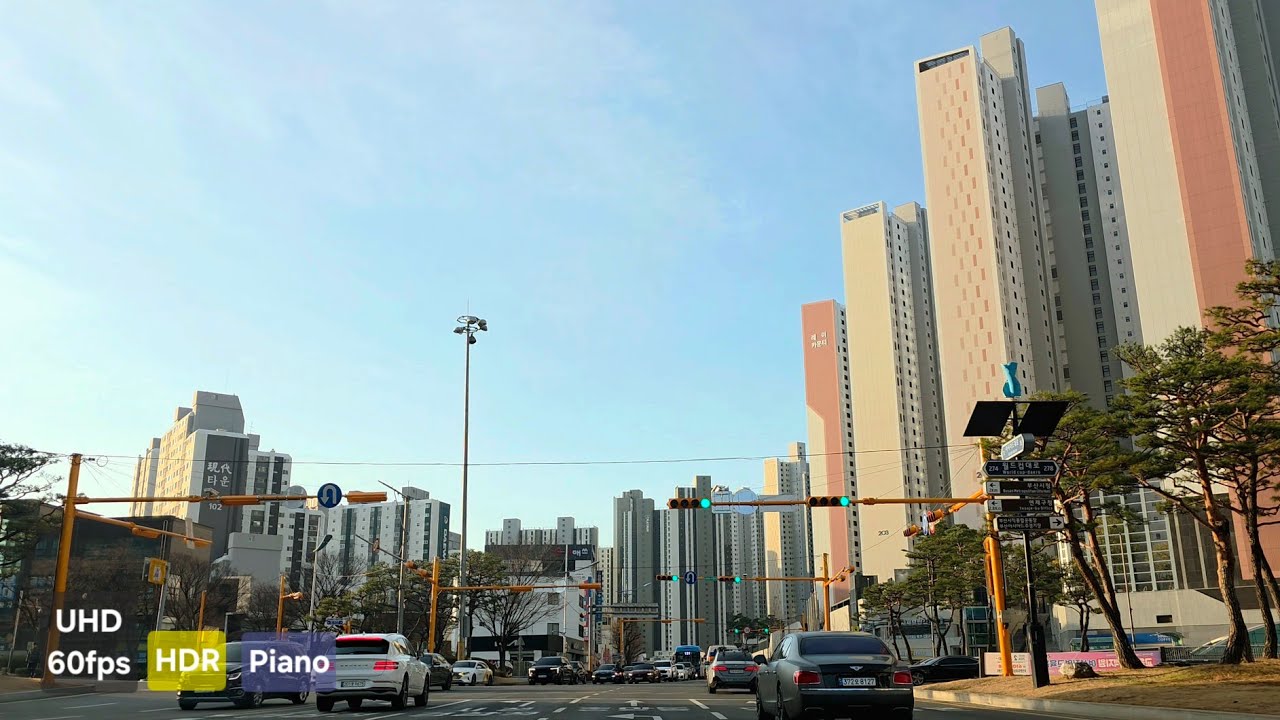 Busan to Gyeongju Dawn Drive 🌅 부산 노포 지나 서울가는 길 | Sunrise Piano Road | 韩国釜山 | 釜山ドライブ