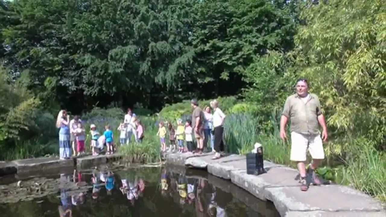 Volker Rosin - Alle Kinder tanzen - Making-of (DVD)