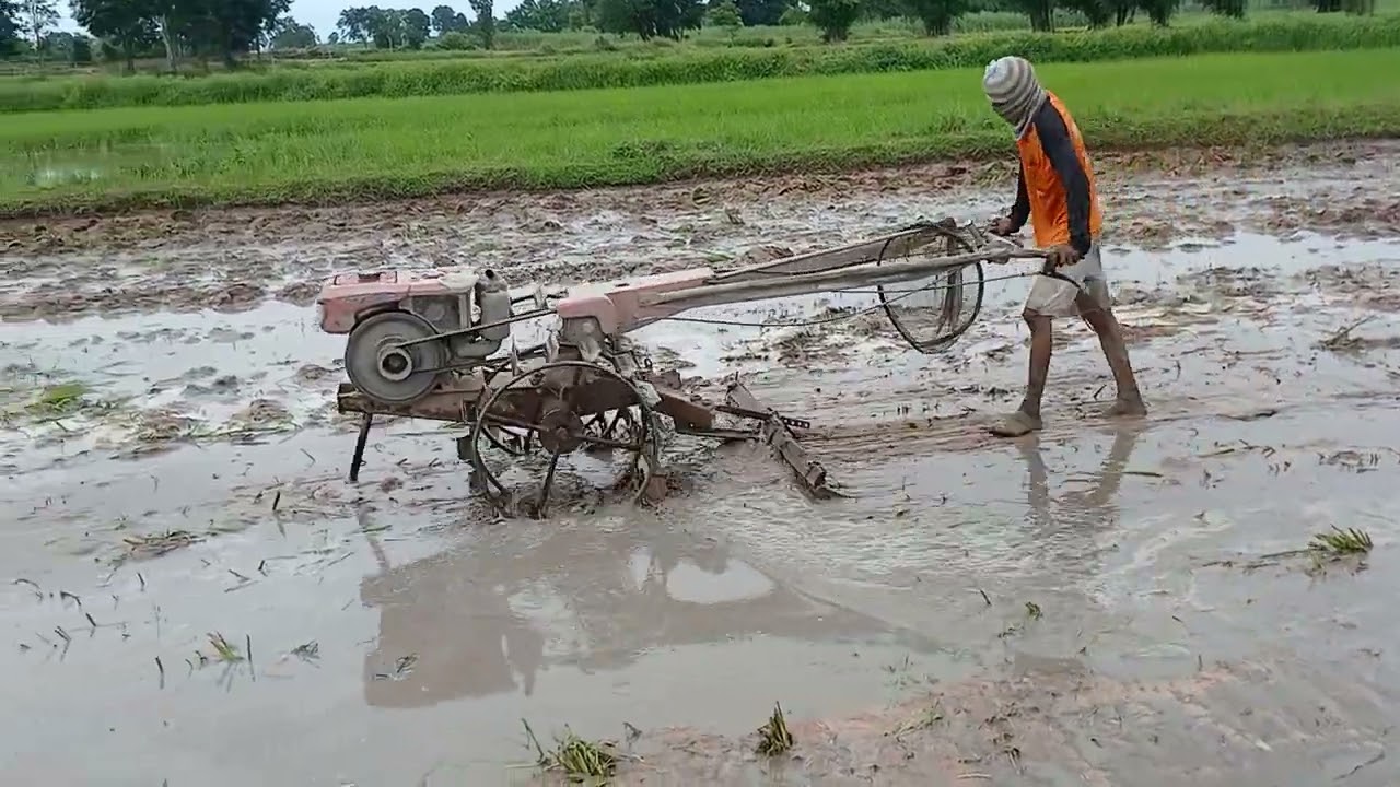 ตูมชาว์คาดนา