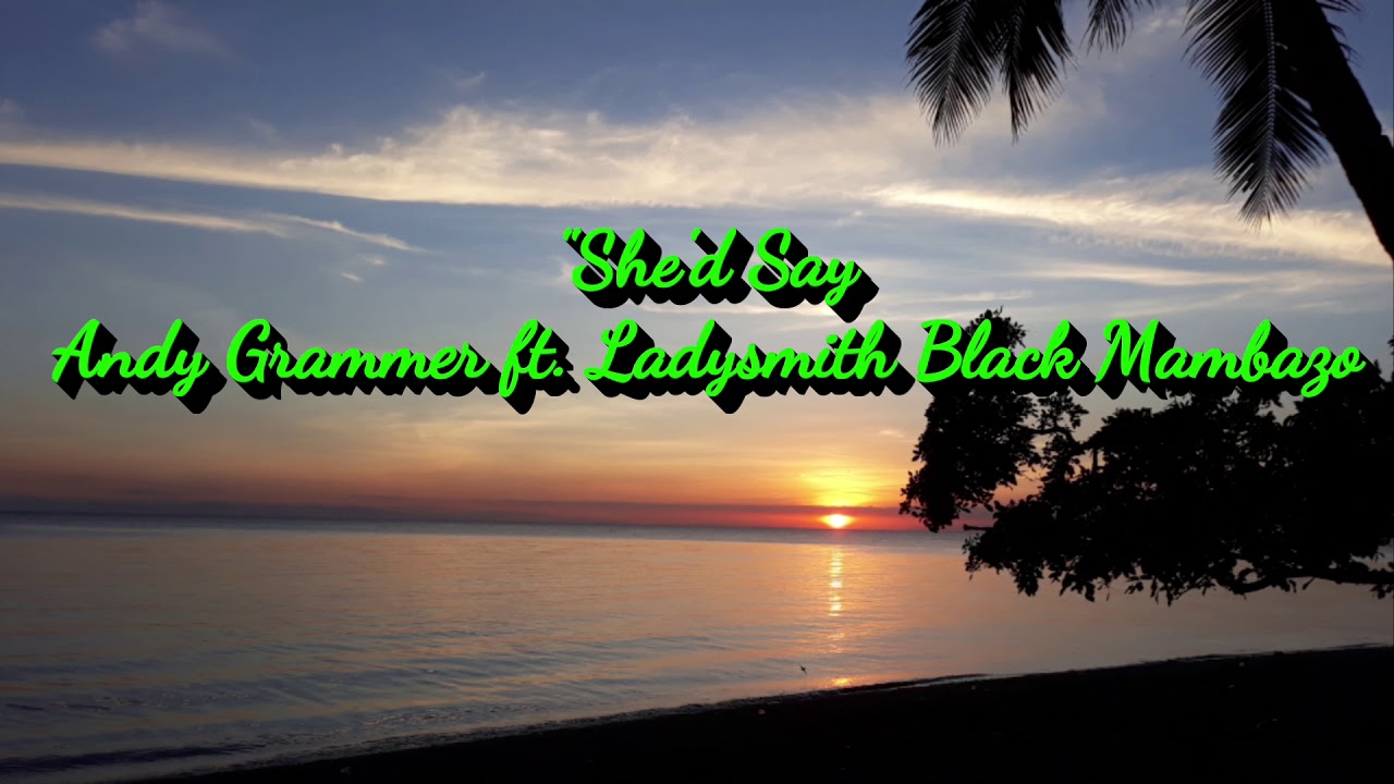 She'd Say Lyrics by Andy Grammer
