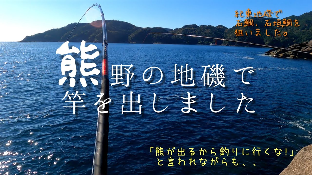 三重県 熊野市の地磯に石鯛 イシガキ鯛を釣りに行きました。熊を警戒しながらの道中となりました #石鯛釣り #fishing #磯釣り #石鯛釣り最新 #熊野釣り#ブッコミ釣り#地磯 #釣り