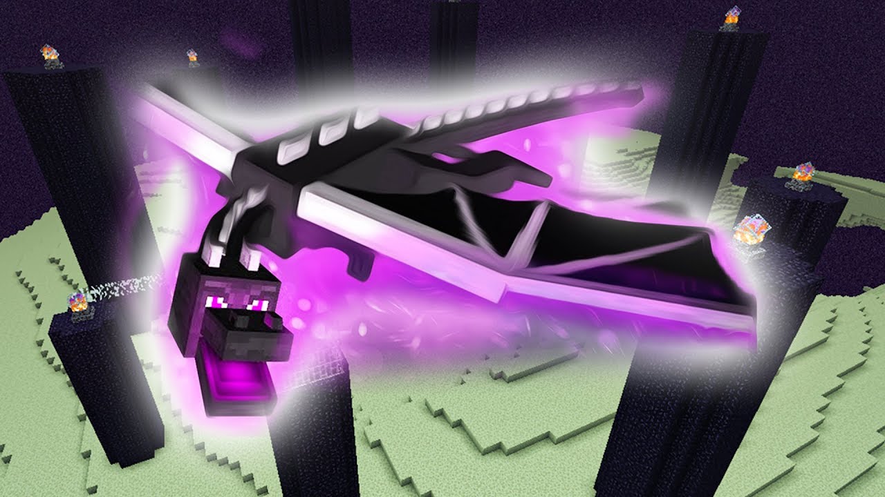 THE DRAGON DROPS _____ ? (Randomized Minecraft Survival Day 9)