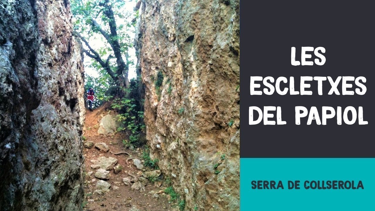 Les escletxes del Papiol | Serra de Collserola
