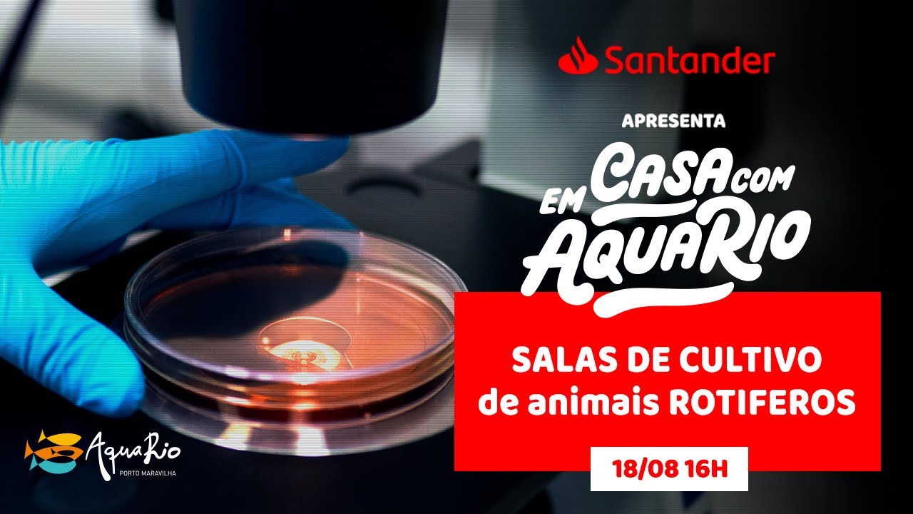 SALAS DE CULTIVO de animais ROTIFEROS / Em Casa com AquaRio