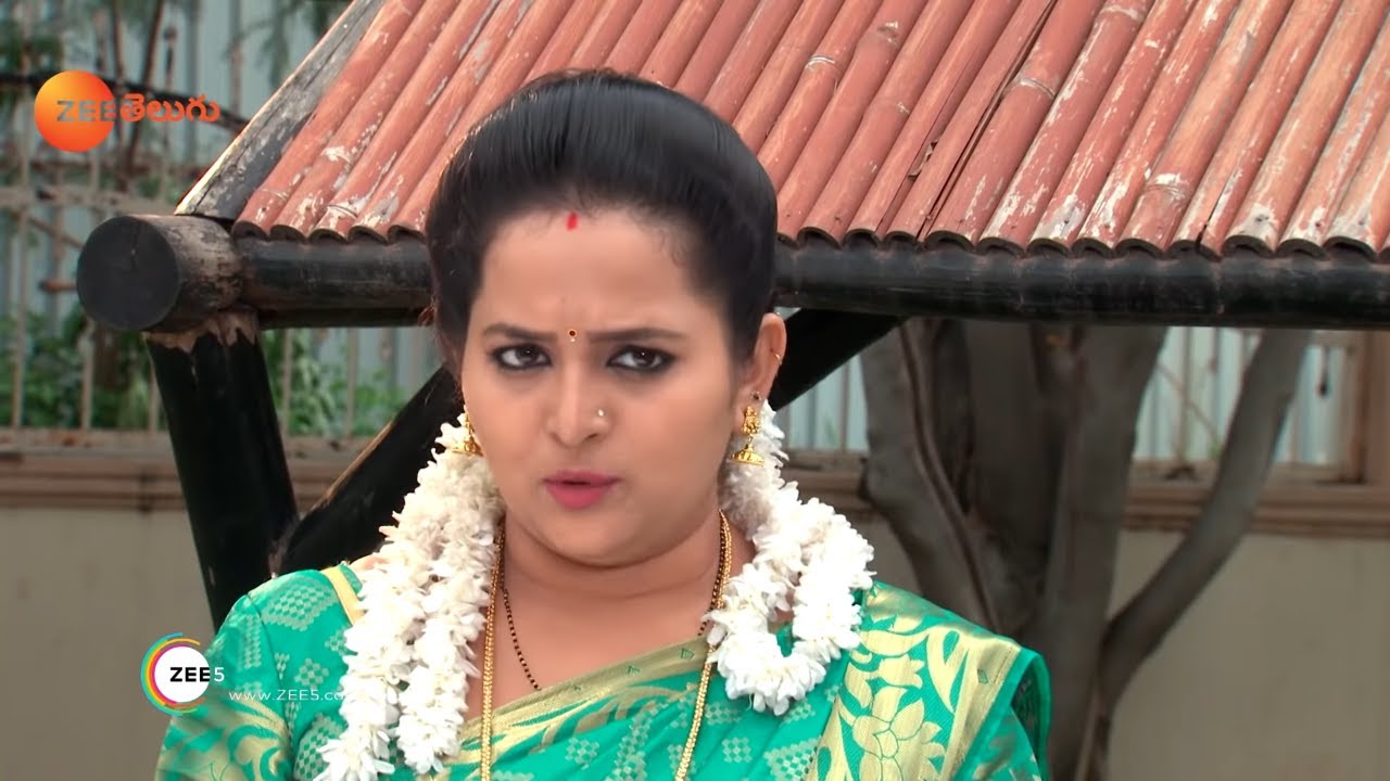 మీరే ముద్దులు పెట్టాలి... Gundamma Katha - Best Scene - Kalki Raja & Pooja - Ep-102 - Zee Telugu