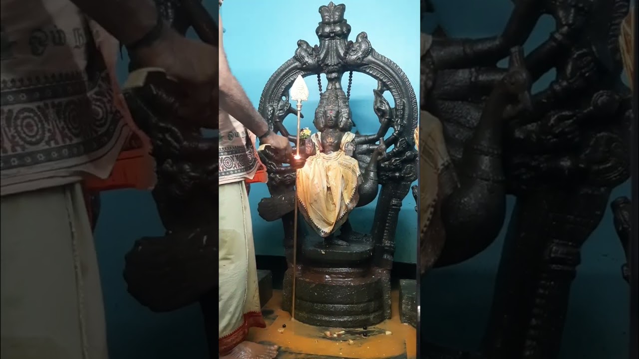 மார்கழி மாத வளர்பிறை #கிருத்திகை முருகருக்கு சிறப்பு அபிஷே நடைபெற்றது 