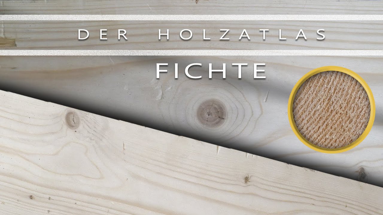 Baumarktholz oder Alleskönner und Wirtschaftswunder - Fichte im Holzportrait