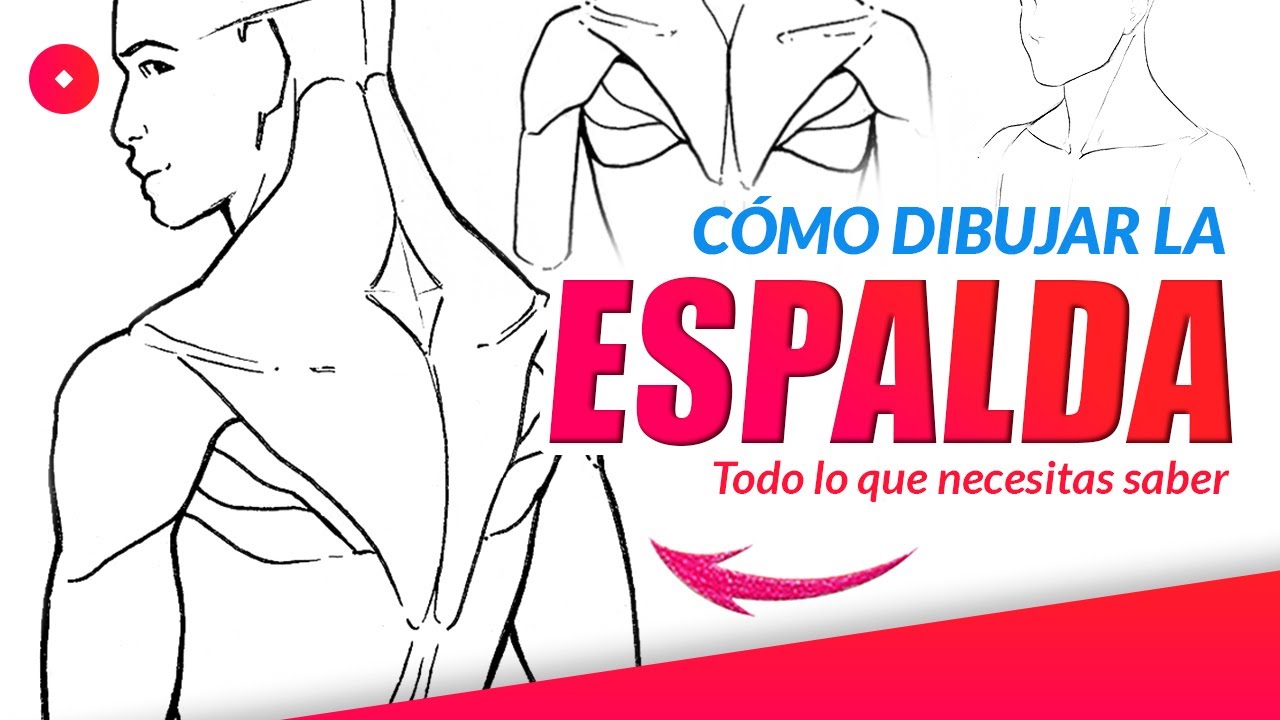 C&oacute;mo dibujar ESPALDAS | Tutorial de Anatom&iacute;a