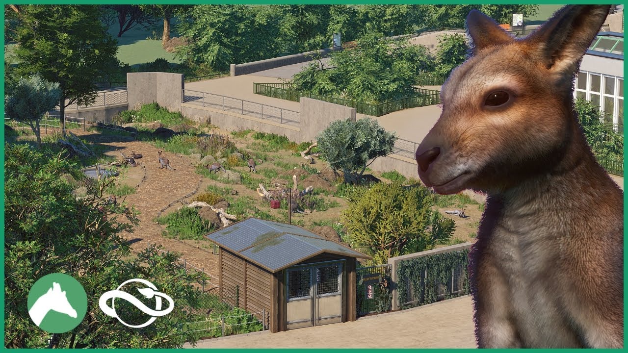 Wallaby Walkthrough Habitat | Elm Hill City Zoo | Planet Zoo