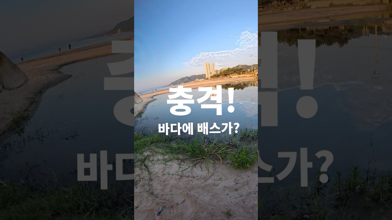 이것이 진정한 씨배스(농어 아님) #배스낚시 #기수역 #씨배스 #후포해변 #스텔라c2000s #빅소드b3 