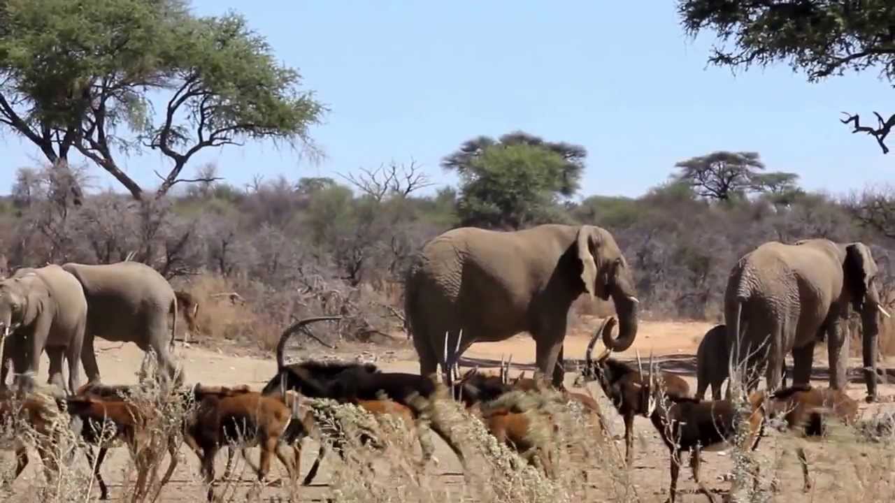 2014 Jan Oelofse Safaris