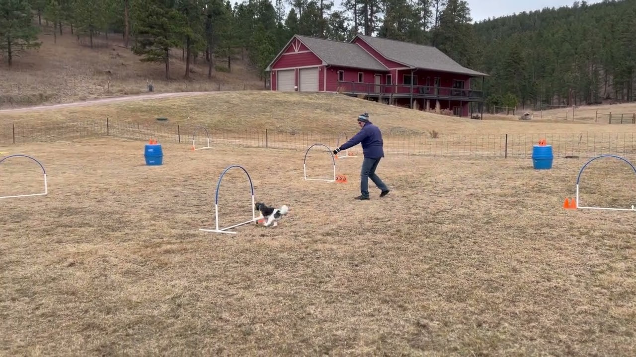 Zani, Happy Elite Grounders, Rd 1, 2926