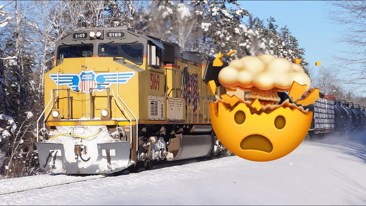 Even more different types of railfans