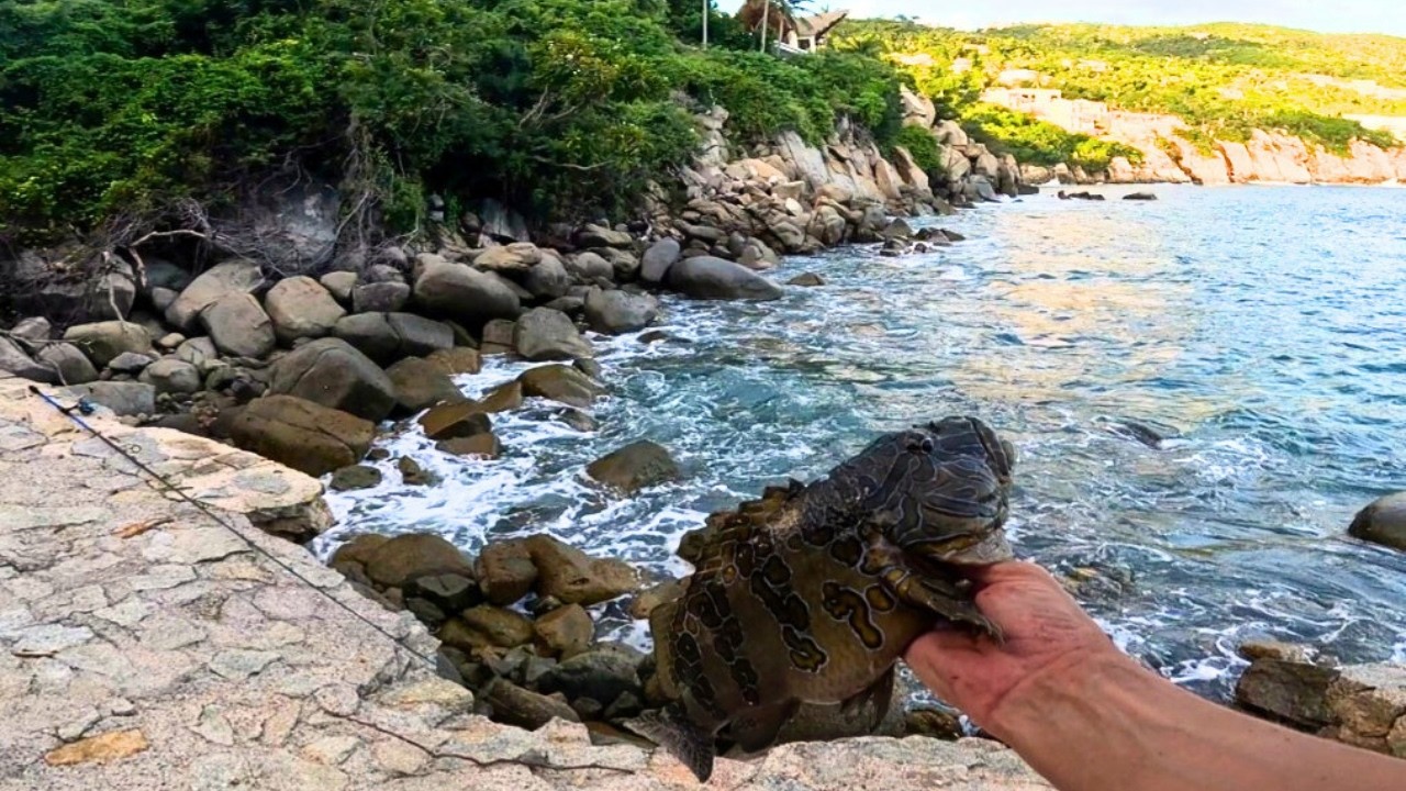 Session ROCK FISHING improvisée à Acapulco 💥 | Belles surprises 🎣