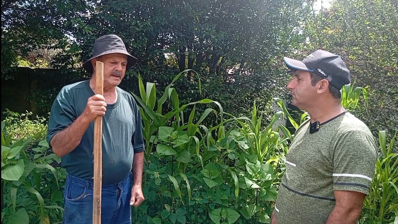 O SENHOR CIDE ME MOSTROU A HORTA E VEJA COMO ESTÁ AS PLANTAS 