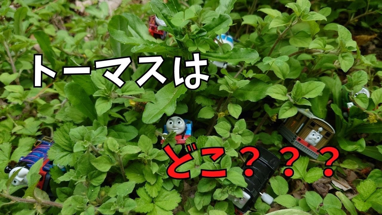 トーマスはどこ？公園でトーマスたちがかくれんぼ♪
