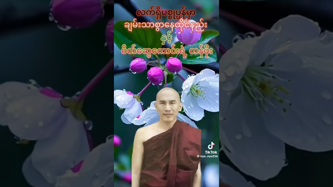 10 March 2026