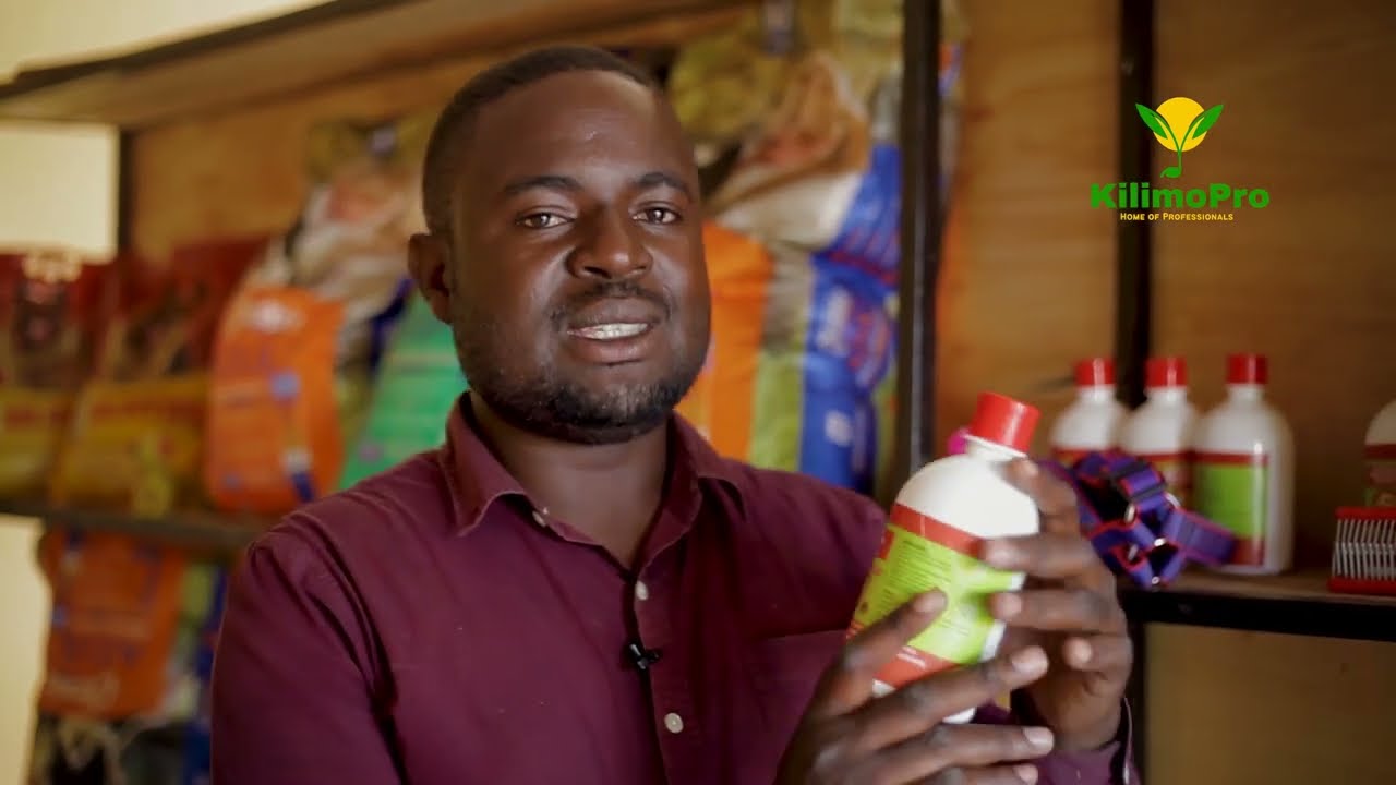 MWONGOZO WA UFUGAJI MBWA, UFUGAJI WA KISASA WENYE TIJA NA FAIDA KIBIASHARA, VIFAA MUHIMU LAZIMA