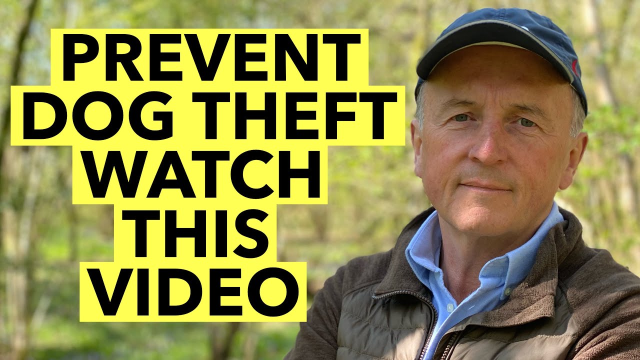 Prevent Dog Theft : Watch This Video