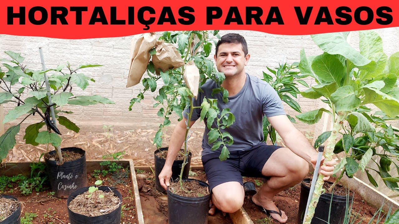 DEZ HORTALIÇAS INCRÍVEIS para PLANTAR em VASO. DICAS de CULTIVO e PLANTIO da HORTA em VASOS