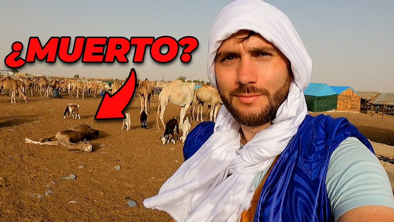 Visité el MERCADO de CAMELLOS MÁS GRANDE de ÁFRICA OCCIDENTAL 🇲🇷
