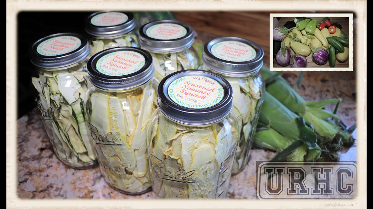 Dehydrating Yellow And Zucchini Squash Snacks