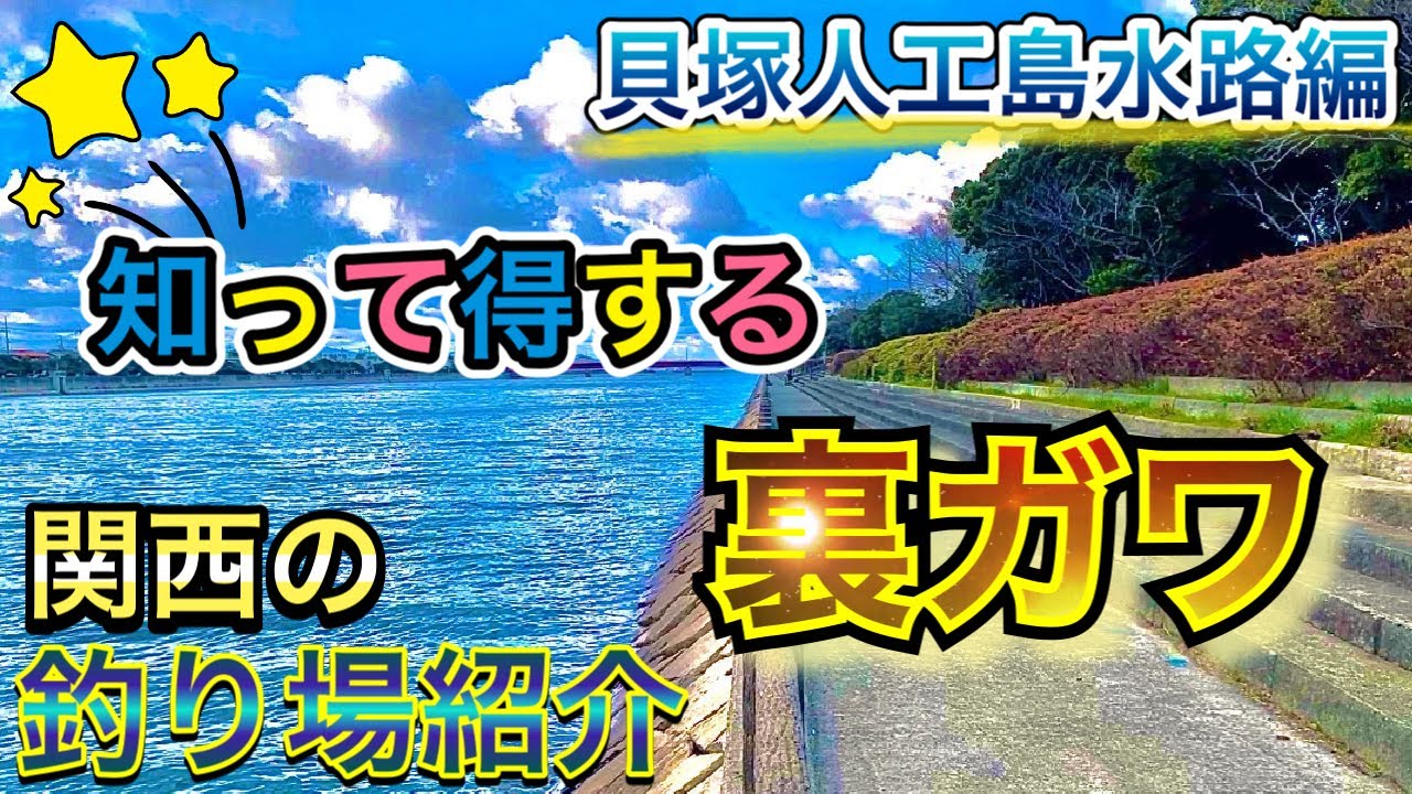 【貝塚人工島水路】カレイを釣るならココ！ファミリー向きの好スポット〜関西のおすすめ釣り場紹介〜