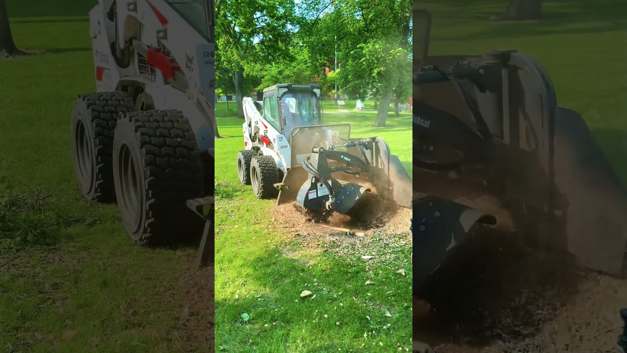 Bobcat SG 60X 💪🏻 