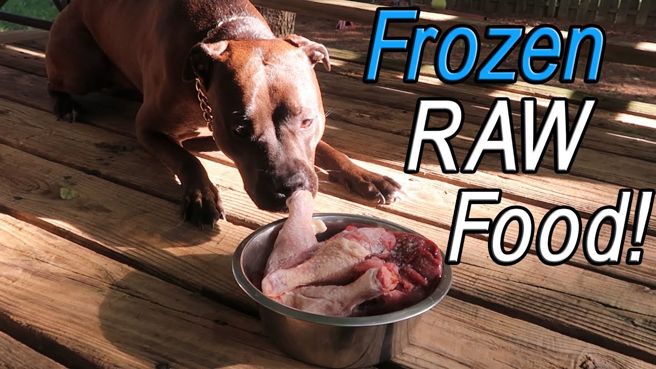 Reasons To Feed Your Dog Frozen RAW Food! (Chicken drumsticks, Liver and Gizzards)
