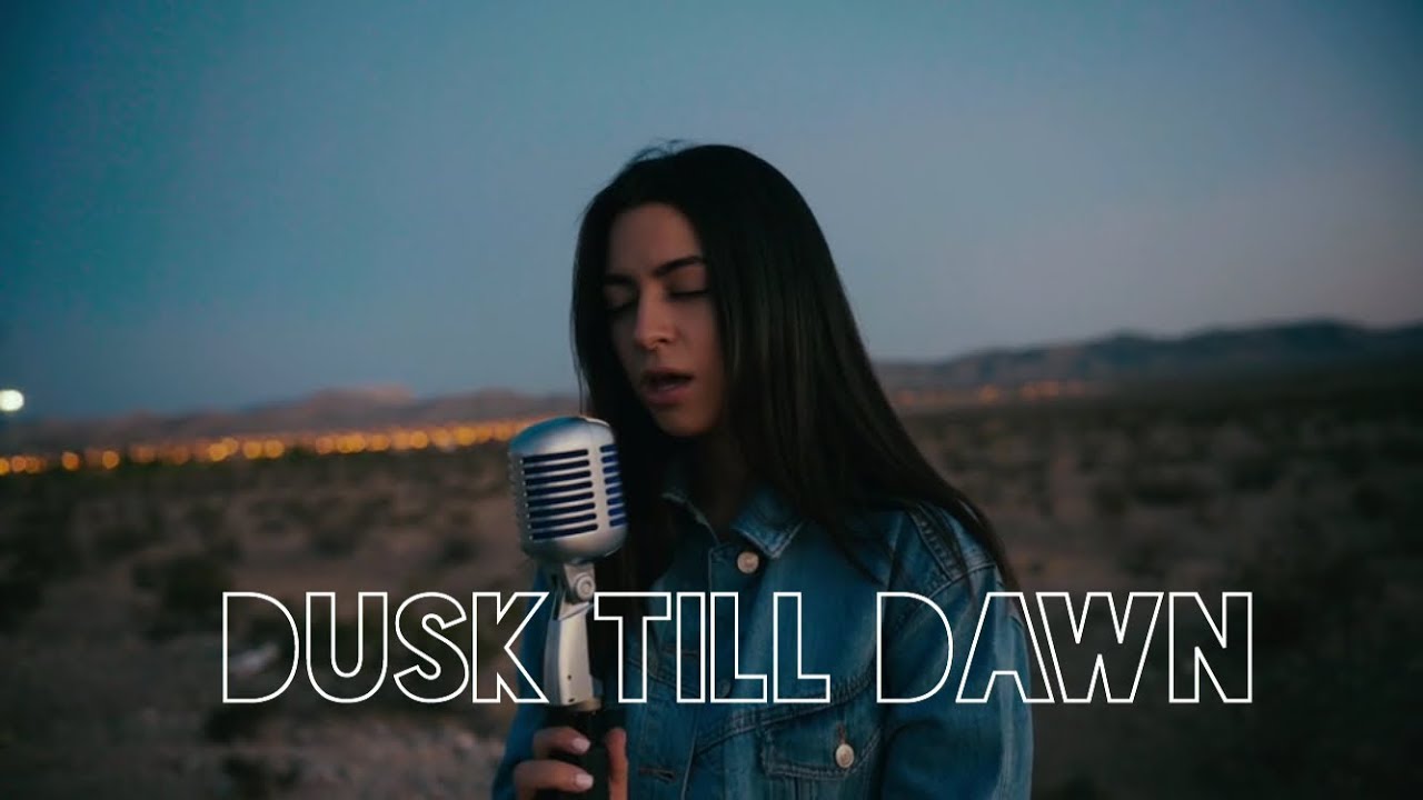 Dusk Till Dawn - Zayn & Sia (Cover)