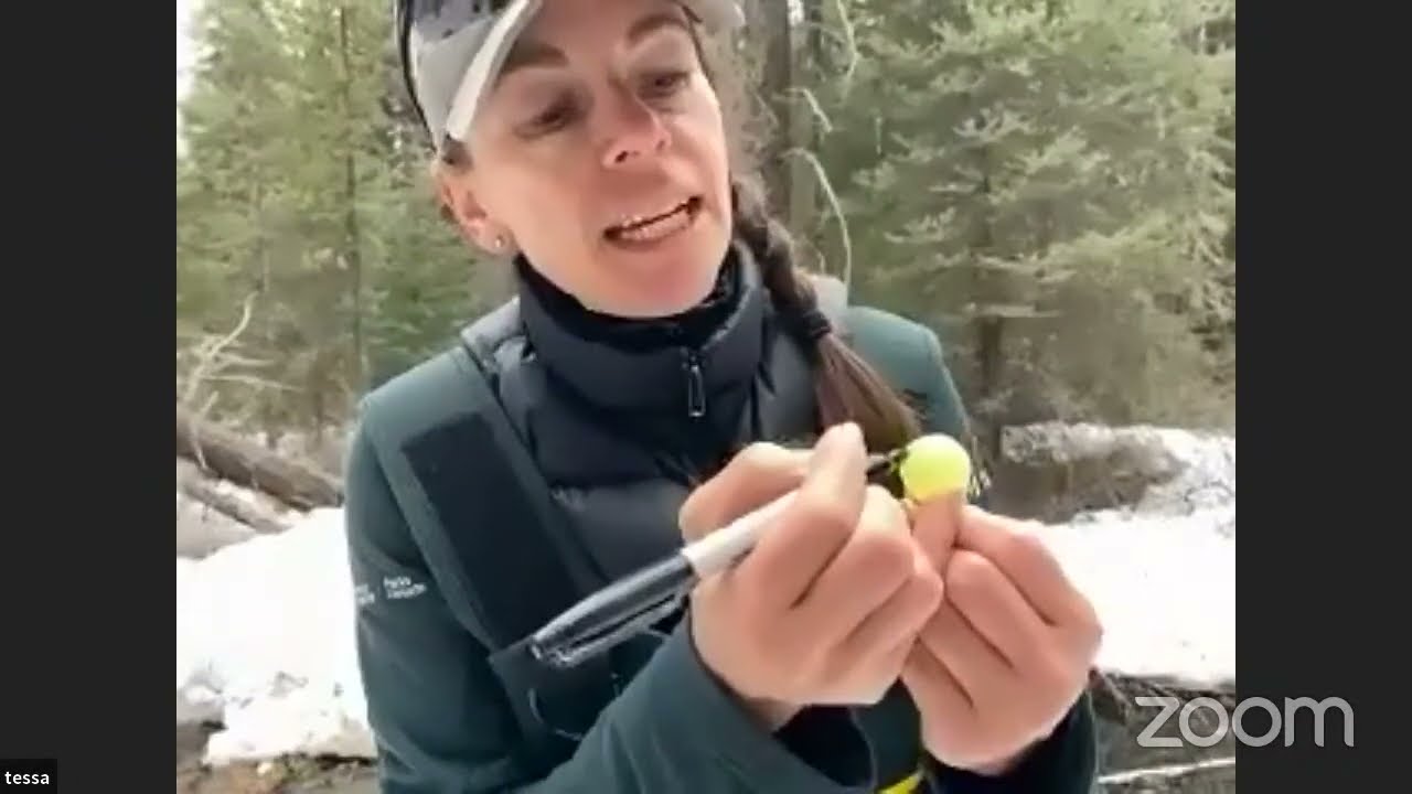 Friends of the Fish: Helping At-Risk Trout in Banff National Park