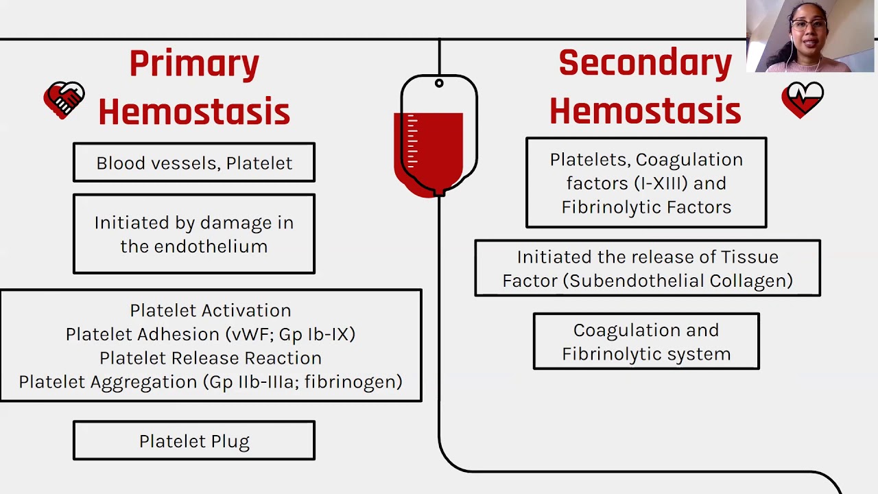 Introduction Hemostasis Capillary Fragility Bleeding Time Platelet Count Direct Estimation