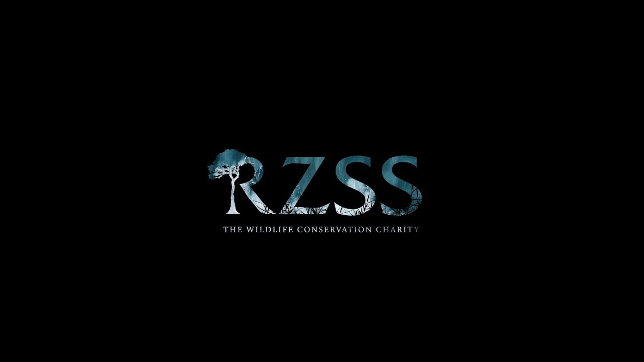 Now is the time |  RZSS 2030 Strategy