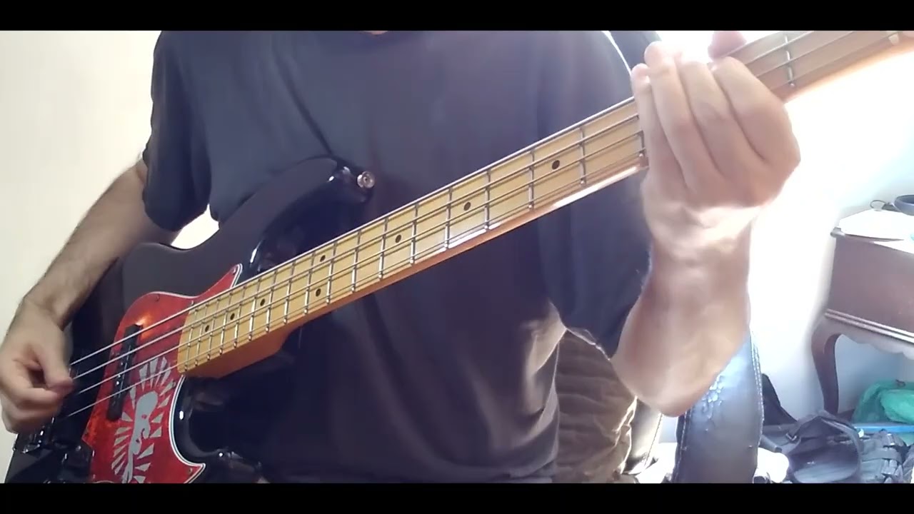 wet leg - davina mccall (BASS cover)