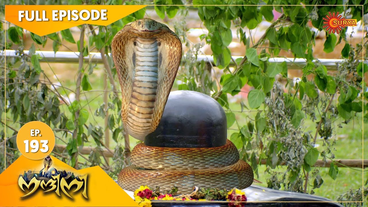 Nandini - Episode 193 | Digital Re-release | Surya TV Serial | Super Hit Malayalam Serial