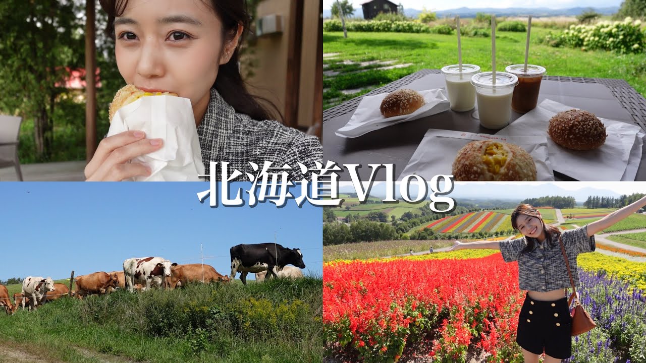 【両親初登場】家族で秋の北海道旅行🐄富良野・美瑛編【お寿司/牧場/お花畑/白い池】