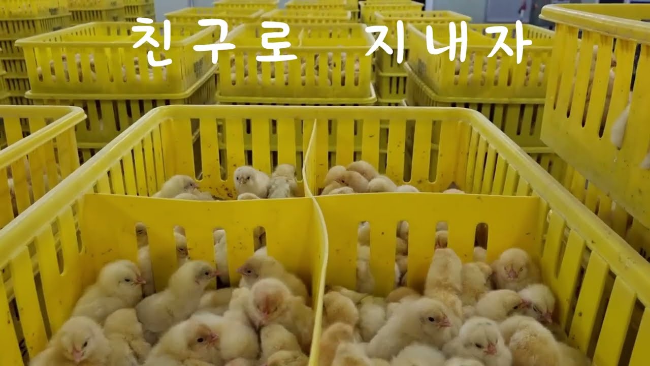 세상1일차입니다